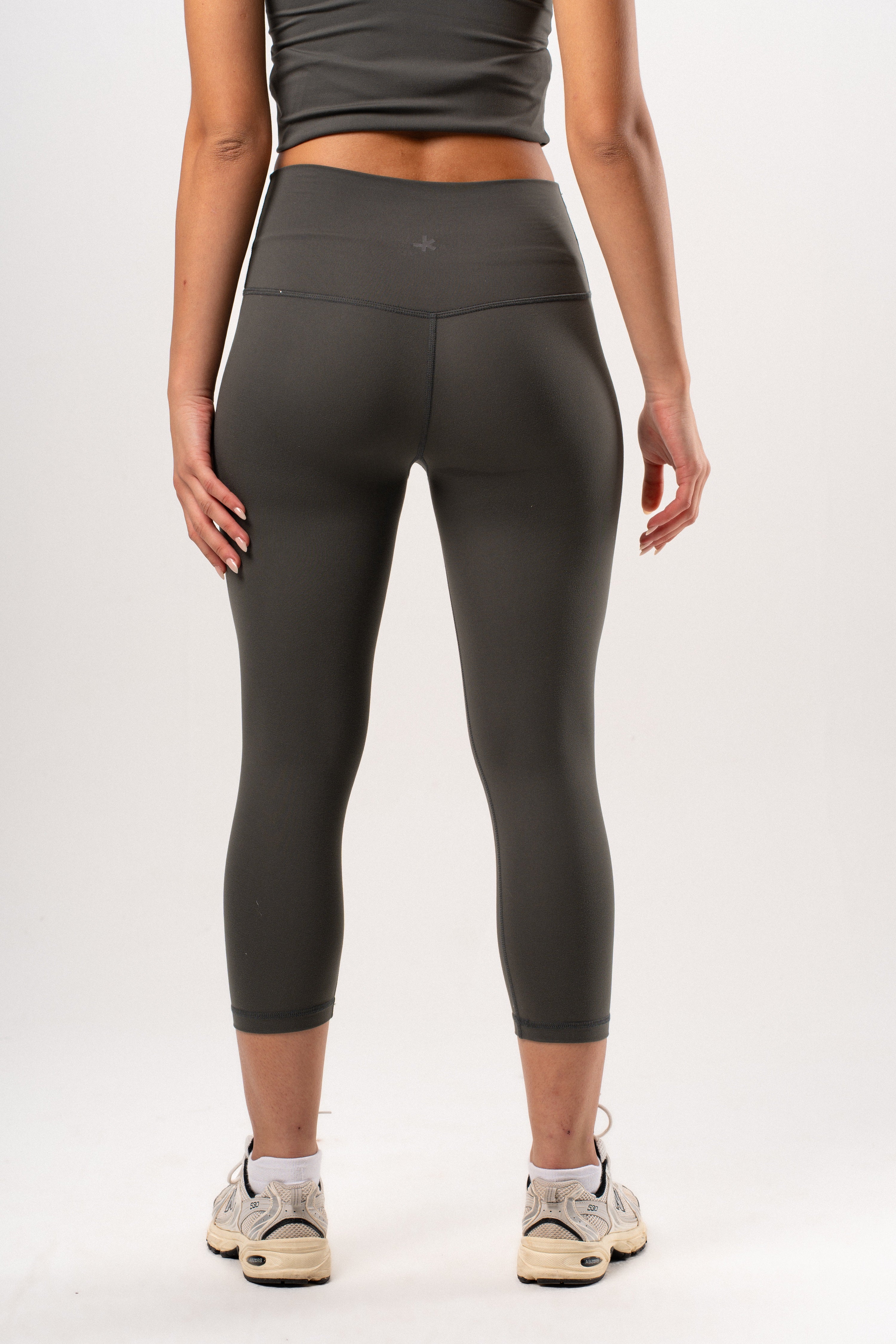 Sculpt High Waist Capri